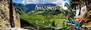 En las actuales condiciones, con este modo de tratar a la Amazonia, tanta vida y tanta hermosura están "tomando el rumbo del fin", aunque muchos quieran seguir creyendo que no pasa nada